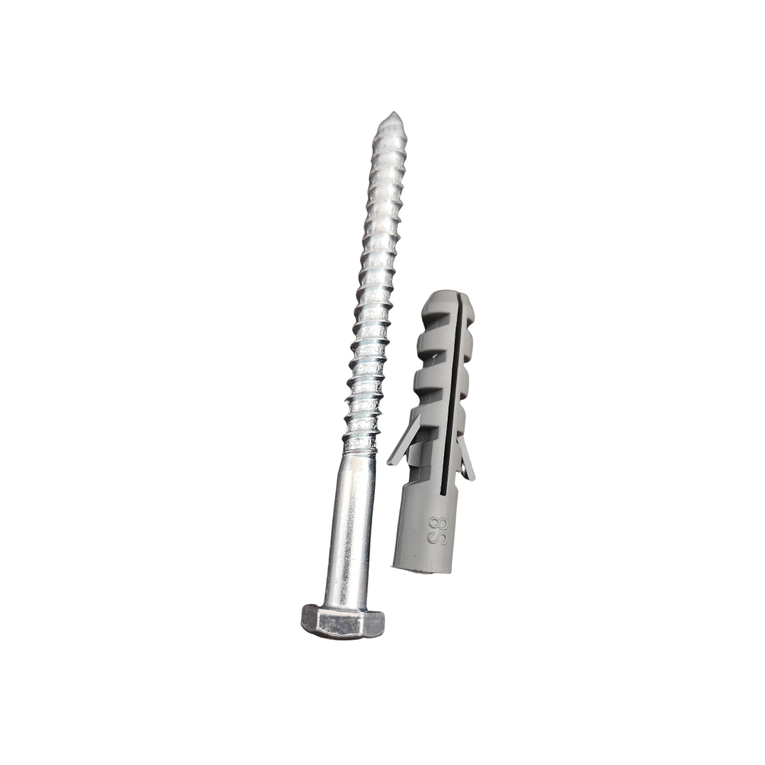 Coach Screw Galv 6x75mm + fisher plug